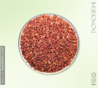 Ganjia Brown Rice (Full Fiber)